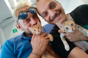 Appartamento anche piccino