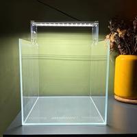 Vasca ADA 30x30 e lampada AQPET policarbonato