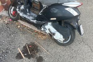 Zip sp 50cc