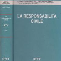 Cendon La responsabilità civile VOL. XIV Indici