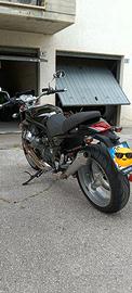 Moto guzzi griso 850 - 2010