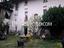 Immagine 7