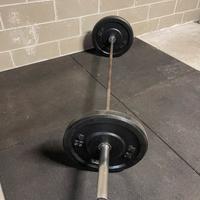Lacertosus Bilanciere Donna Crosstraining ELITE