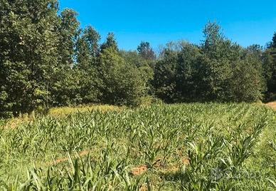 Terreno agricolo Volpiano