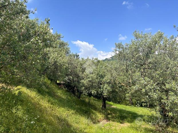 TER. AGRICOLO A NEGRAR DI VALPOLICELLA