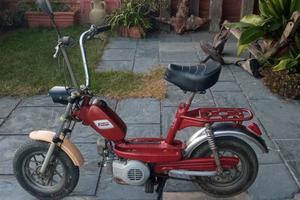 Fantic Lei tipo mini chic