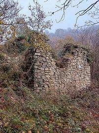 Rustico con 2 ettari coltivati