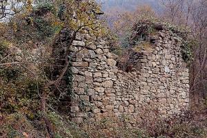 Rustico con 2 ettari coltivati