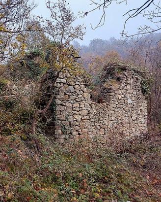 Rustico con 2 ettari coltivati