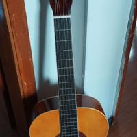 Chitarra Eko