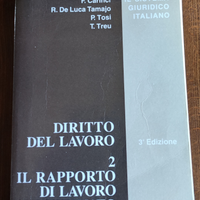 Diritto del lavoro. 2 Il rapporto di lavoro subor