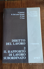 Diritto del lavoro. 2 Il rapporto di lavoro subor