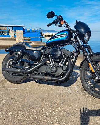 HARLEY DAVIDSON 1200 XL SPORTSTER IRON