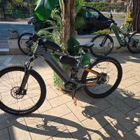 Ebike full Tg M