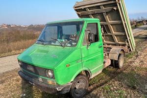 Fiat daily Iveco