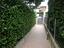 Immagine 5