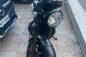 Bonneville t120 gold Line