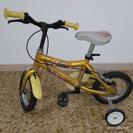 Bicicletta in alluminio