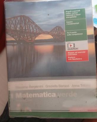 MATEMATICA VERDE TERZA EDIZIONE