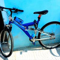 bicicletta 
