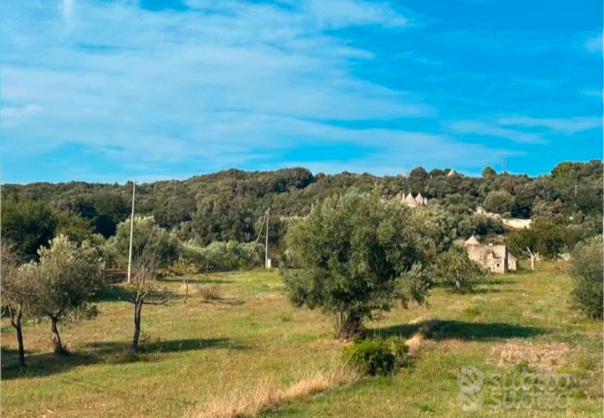 Trulli con torretta in pietra su terreno Monopoli - Vista 2