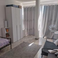 Ampia stanza in centro libera subito
