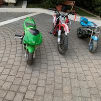 Moto bimbo