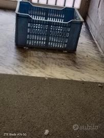 Cassette in plastica rigida e robusta per frutta/o