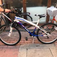 bici MR shark bay
