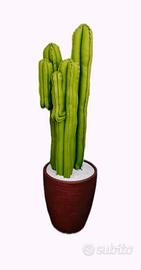 CACTUS D'ARREDO IN ECOPELLE  