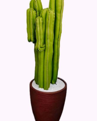 CACTUS D'ARREDO IN ECOPELLE  