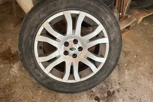 Cerchi in lega freelander