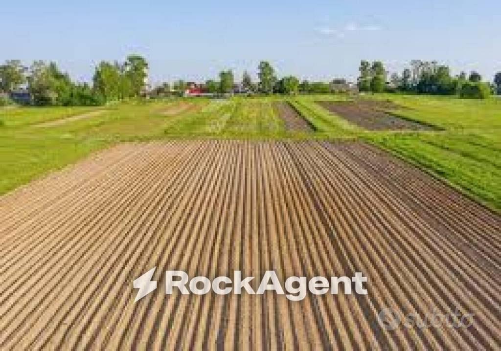 Terreno di 31284 m² a Codevigo - Vista 4