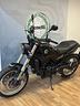 benelli-leoncino-500-trail-km-0-12-2024