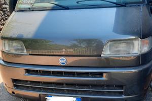 Fiat ducato 14 posti +1