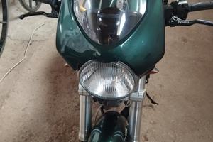 Ducati Monster