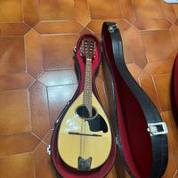 Mandolino Meazzi stile con custodia rigida