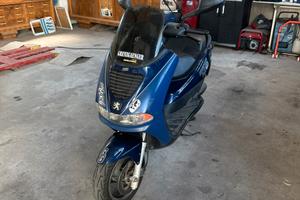 Peujeot Eliseo 100cc 2 T