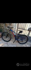 Bicicletta mountain bike