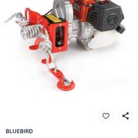 Verricello BlueBird