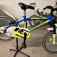 Bici bambino  16 pollici torpado