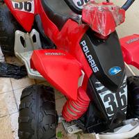 Quad Polaris pep perego