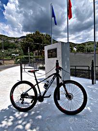 Bicicletta 28