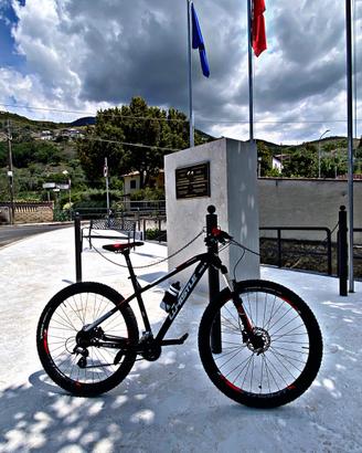 Bicicletta 28