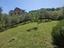 Immagine 18