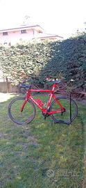 Pinarello gan 56