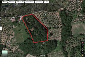 terreno agricolo