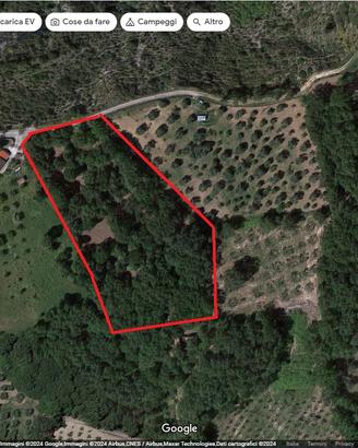 terreno agricolo