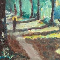 Danza di luce e ombre nel parco