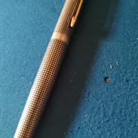 Penna stilografica Parker Silver 